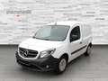 Mercedes-Benz Citan 109 CDI Kasten lang Klima DAB Kamera AHK Wit - thumbnail 1