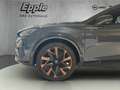 CUPRA Formentor LED Winterpaket Full Link Kamera PDC v+hi Panodach Gris - thumbnail 9