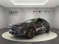 CUPRA Formentor LED Winterpaket Full Link Kamera PDC v+hi Panodach Gris - thumbnail 3