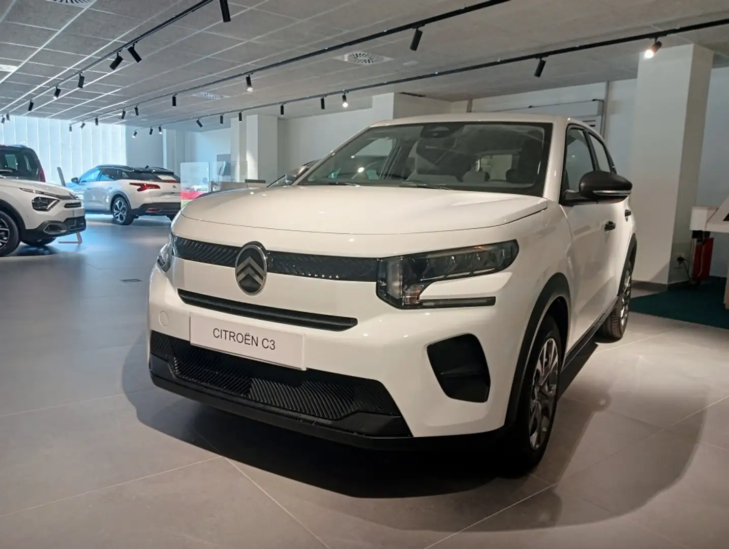 Citroen C3 1.2 Turbo S&S You 100 Gris - 1