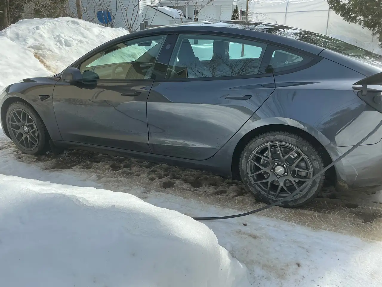 Tesla Model 3 photo Tesla Model 3