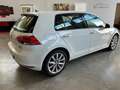 Volkswagen Golf 5p 1.6 tdi Highline Executive (business) 110cv dsg Wit - thumbnail 4