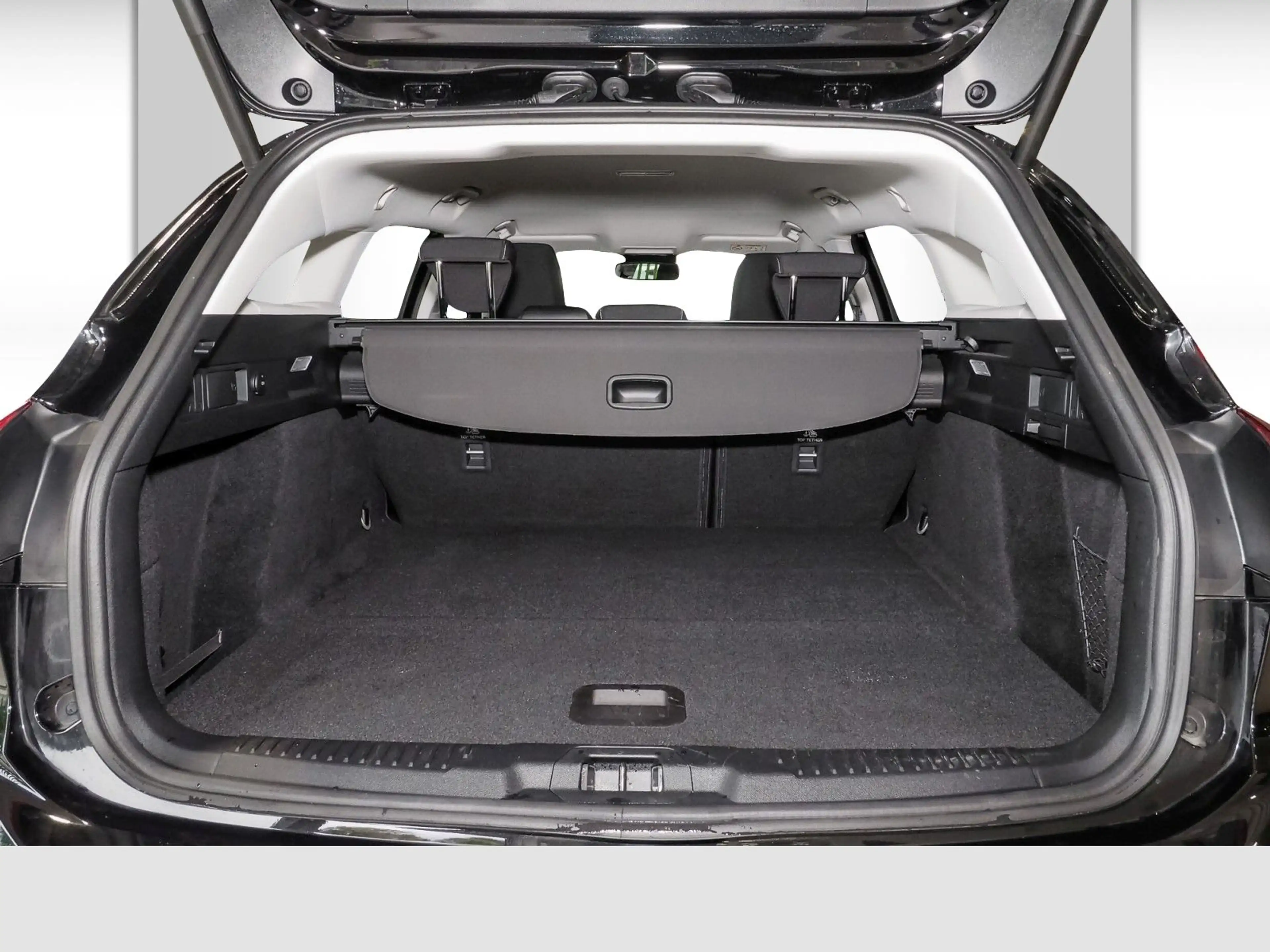 Ford Focus TITANIUM — photo 15