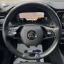 Skoda Octavia Combi 2,0 TDI Business DSG *Virtual*Kamera*Navi* Blau - thumbnail 16