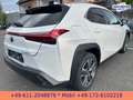 Lexus UX 300e EXECUTIVE*LEDER*BELÜFTETE SITZE*4xSH* Bílá - thumbnail 6