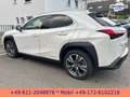 Lexus UX 300e EXECUTIVE*LEDER*BELÜFTETE SITZE*4xSH* Bílá - thumbnail 4