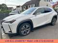Lexus UX 300e EXECUTIVE*LEDER*BELÜFTETE SITZE*4xSH* Bílá - thumbnail 3