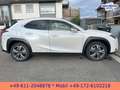 Lexus UX 300e EXECUTIVE*LEDER*BELÜFTETE SITZE*4xSH* Bílá - thumbnail 9