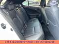 Lexus UX 300e EXECUTIVE*LEDER*BELÜFTETE SITZE*4xSH* Blanc - thumbnail 22