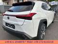 Lexus UX 300e EXECUTIVE*LEDER*BELÜFTETE SITZE*4xSH* Bílá - thumbnail 12