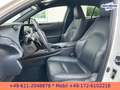 Lexus UX 300e EXECUTIVE*LEDER*BELÜFTETE SITZE*4xSH* Bílá - thumbnail 15