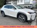 Lexus UX 300e EXECUTIVE*LEDER*BELÜFTETE SITZE*4xSH* Bílá - thumbnail 1