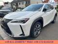 Lexus UX 300e EXECUTIVE*LEDER*BELÜFTETE SITZE*4xSH* Bílá - thumbnail 7
