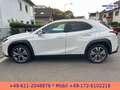 Lexus UX 300e EXECUTIVE*LEDER*BELÜFTETE SITZE*4xSH* Bílá - thumbnail 10