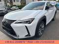 Lexus UX 300e EXECUTIVE*LEDER*BELÜFTETE SITZE*4xSH* Bílá - thumbnail 13