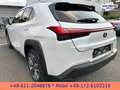 Lexus UX 300e EXECUTIVE*LEDER*BELÜFTETE SITZE*4xSH* Bílá - thumbnail 14