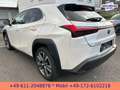 Lexus UX 300e EXECUTIVE*LEDER*BELÜFTETE SITZE*4xSH* Bílá - thumbnail 8
