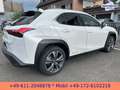 Lexus UX 300e EXECUTIVE*LEDER*BELÜFTETE SITZE*4xSH* Bílá - thumbnail 2