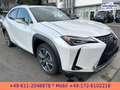 Lexus UX 300e EXECUTIVE*LEDER*BELÜFTETE SITZE*4xSH* Bílá - thumbnail 5