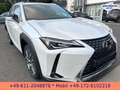 Lexus UX 300e EXECUTIVE*LEDER*BELÜFTETE SITZE*4xSH* Bílá - thumbnail 11