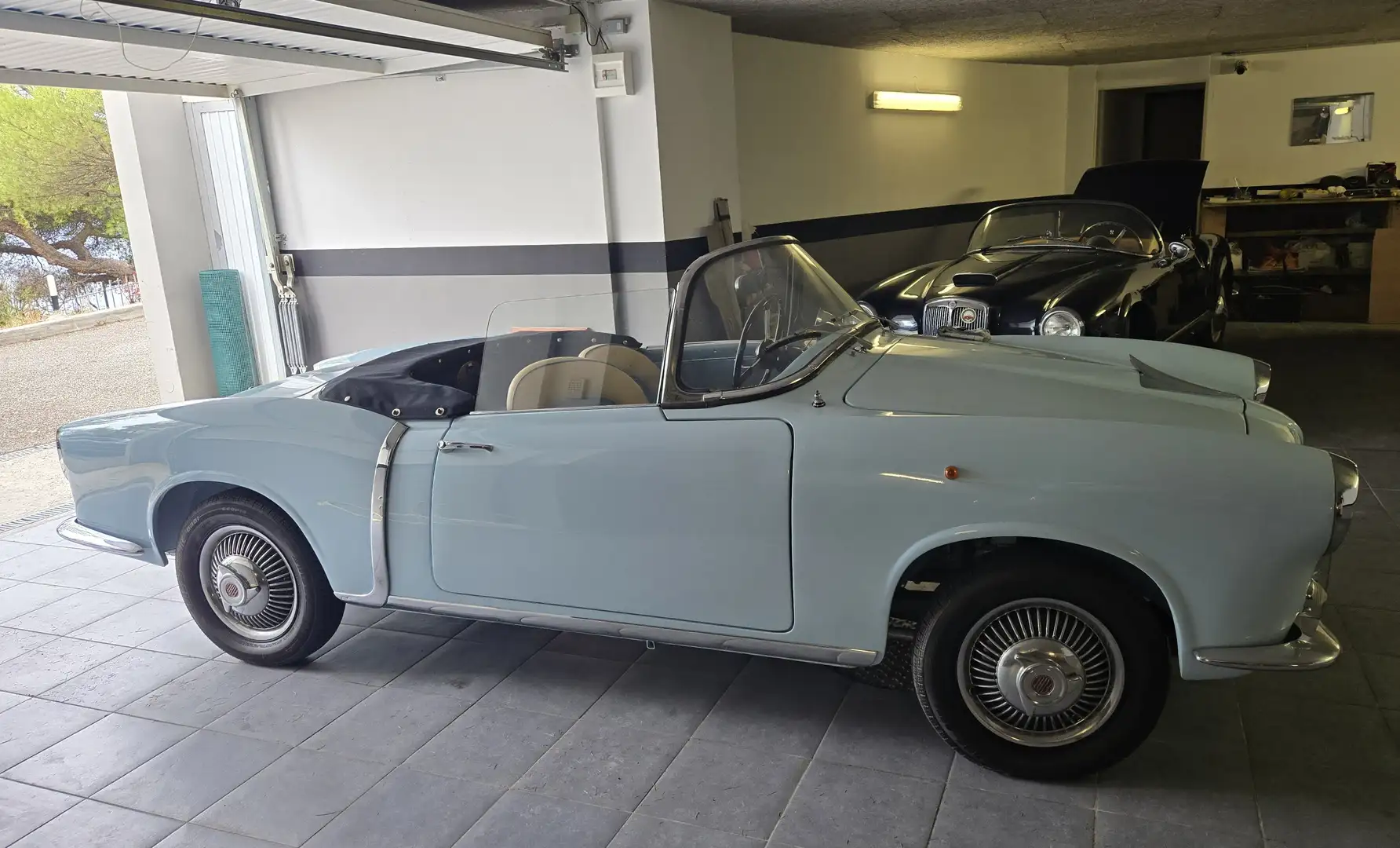 Fiat 1200 Tv spider Blu/Azzurro - 2