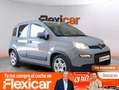 Fiat Panda City Life Hybrid 1.0 Gse 51kw (70CV) Gris - thumbnail 1