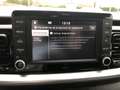 Kia Stonic T Sense ISG Giallo - thumbnail 14
