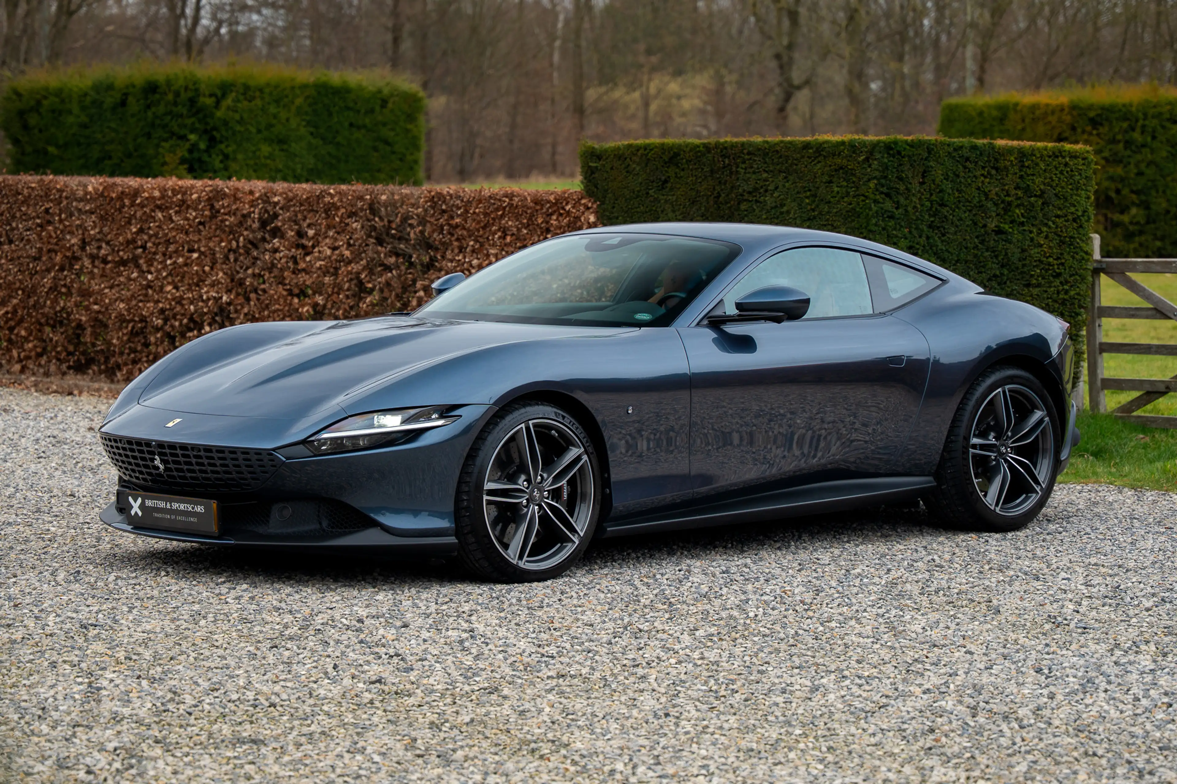 Ferrari Roma 3.9 V8 Blue Over Tan — photo 11