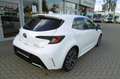 Toyota Corolla 1.8 Hybrid Team D -Fahrschulumbau- Blanc - thumbnail 18