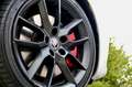 Skoda Octavia Combi RS 2.0 TDI/8 FACH/PDC/SHZ/Green te Blanc - thumbnail 33