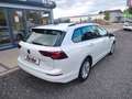 Volkswagen Golf 1.5 TSI Life Variant **AHK**NAVI** Weiß - thumbnail 4