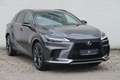 Lexus RX 350h (hybrid) F SPORT Design Šedá - thumbnail 7