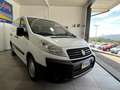 Fiat Scudo 2.0 MJT DPF PC-TN Furgone 12q Comfort KM CERTIFICA White - thumbnail 3