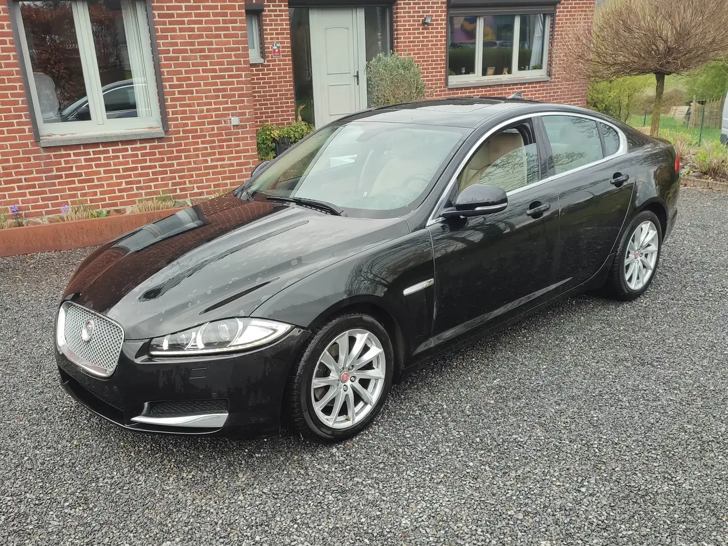 Jaguar XF XF 2.2 D Prestige Noir - 1
