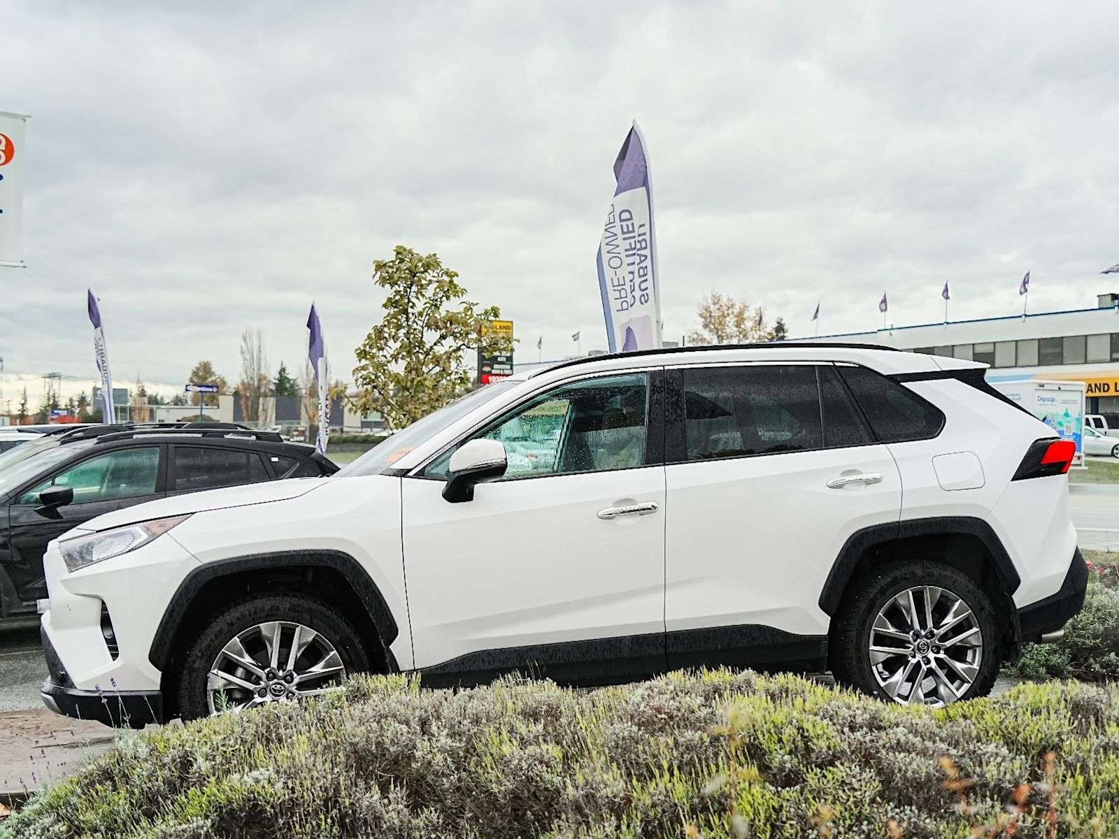 2020 Toyota RAV4 Limited — снимка 1
