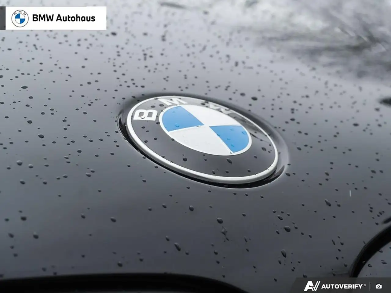 BMW X6 снимка BMW X6