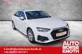 Audi A4 35 TDI Avant S-line, S.tronic, Voll LED Weiß - thumbnail 2