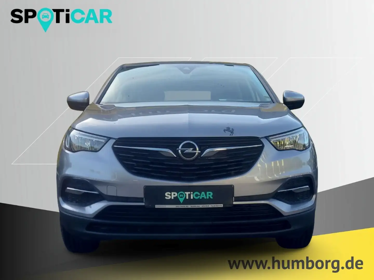Opel Grandland Selection 1.2 Turbo Musikstreaming Verkehrszeichen Grau - 2