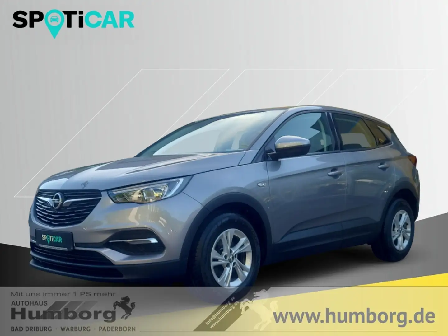 Opel Grandland Selection 1.2 Turbo Musikstreaming Verkehrszeichen Grau - 1