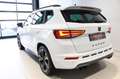 CUPRA Ateca 2.0 TSI DSG 4Drive PANO+AHK+BEATS+elHK+4JGAR Weiß - thumbnail 2