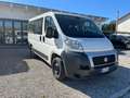 Fiat Ducato Panorama 9 posti 2.3 mjt 96kw 130cv Bianco - thumbnail 6