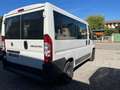 Fiat Ducato Panorama 9 posti 2.3 mjt 96kw 130cv Bianco - thumbnail 2
