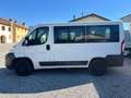 Fiat Ducato Panorama 9 posti 2.3 mjt 96kw 130cv Bianco - thumbnail 9