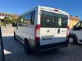 Fiat Ducato Panorama 9 posti 2.3 mjt 96kw 130cv Bianco - thumbnail 4