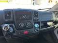 Fiat Ducato Panorama 9 posti 2.3 mjt 96kw 130cv Bianco - thumbnail 8