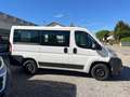 Fiat Ducato Panorama 9 posti 2.3 mjt 96kw 130cv Bianco - thumbnail 7