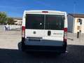 Fiat Ducato Panorama 9 posti 2.3 mjt 96kw 130cv Bianco - thumbnail 5