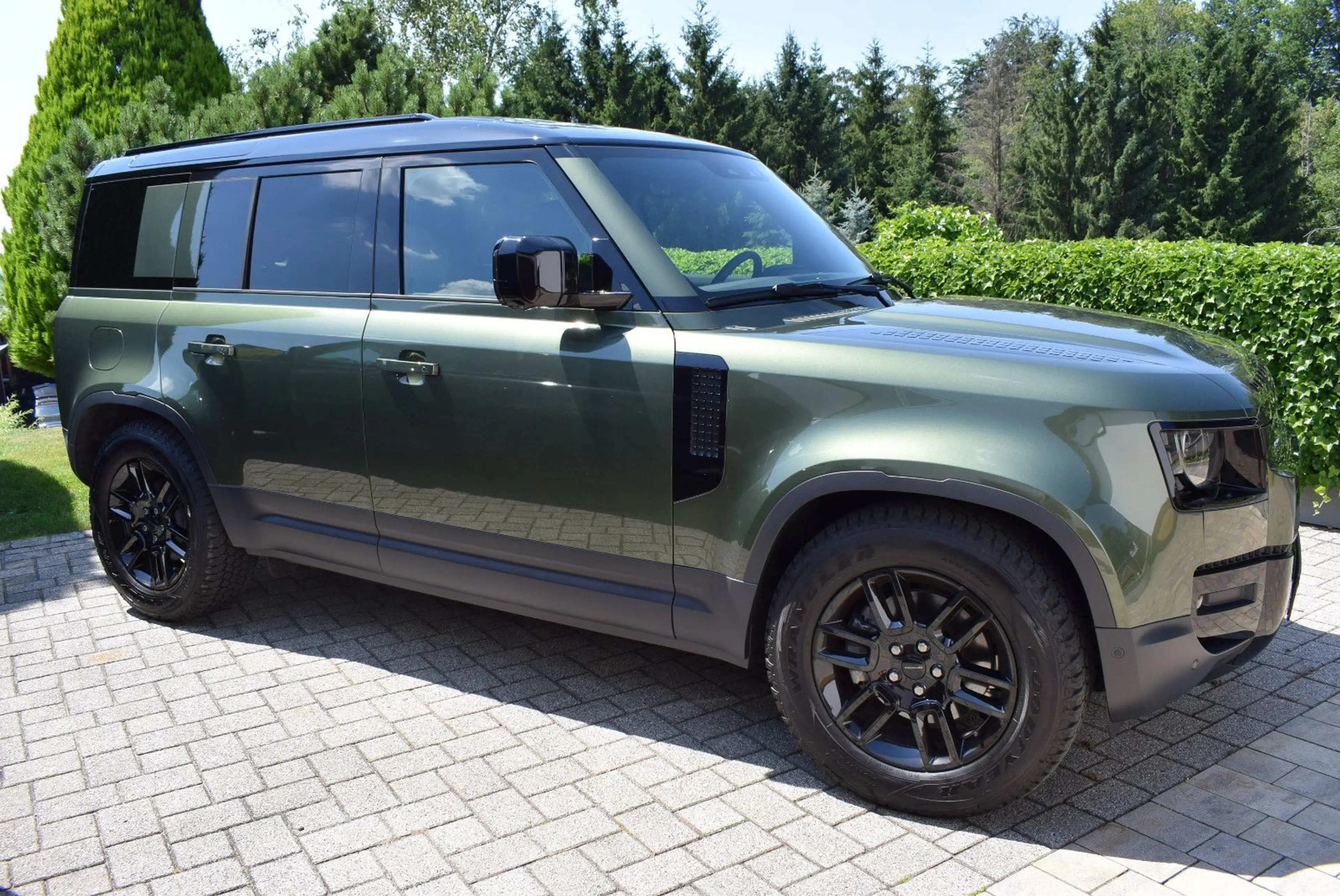 Land Rover Defender 110 D250 S / BLACKPACK/WIPA/LUFT/AHK — photo 5