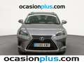 Lexus NX 300 300h Business 2WD Gris - thumbnail 12