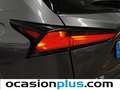 Lexus NX 300 300h Business 2WD Gris - thumbnail 15